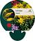 Solidago 'Goldkind'
