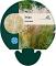 Stipa tenuissima