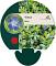 Vinca minor