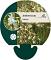 Anthericum ramosum