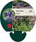 Aquilegia vulgaris