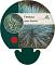 Festuca glauca 'Blaufuchs'