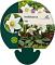 Helleborus niger