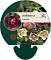Helleborus orientalis