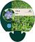 Vinca major